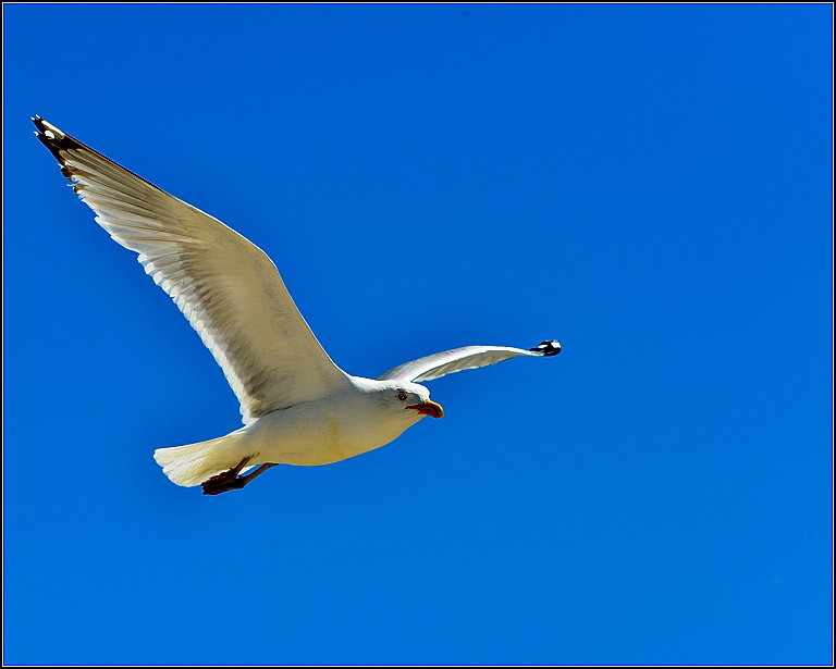 DSC_4591.jpg