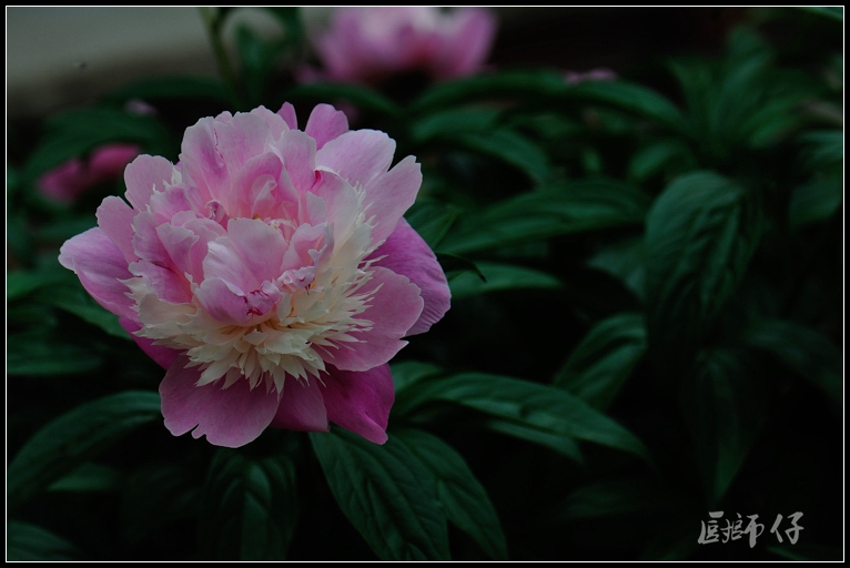 DSC_1583.jpg