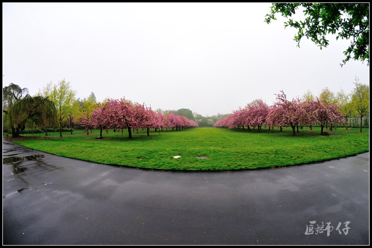 DSC_6048.jpg