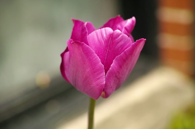 DP3M1146_dh.jpg