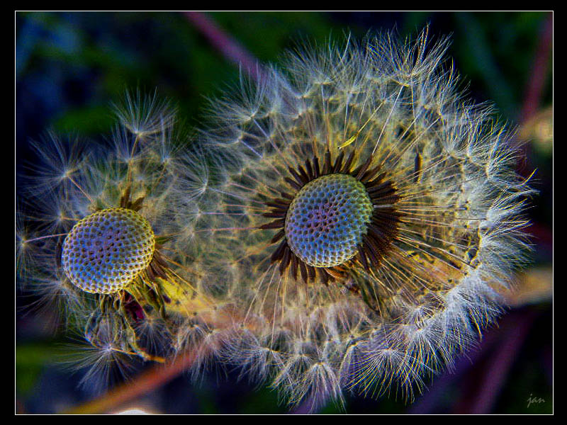 DSCF4768= (1 - 1).jpg