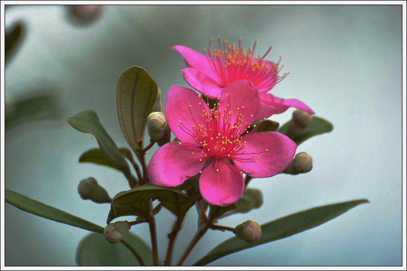 DSC_6275_1.JPG