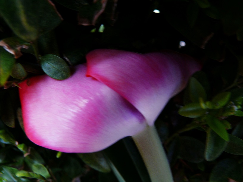 L1500689.JPG