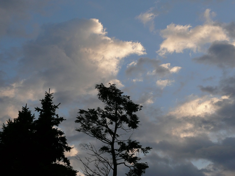 L1480813.JPG
