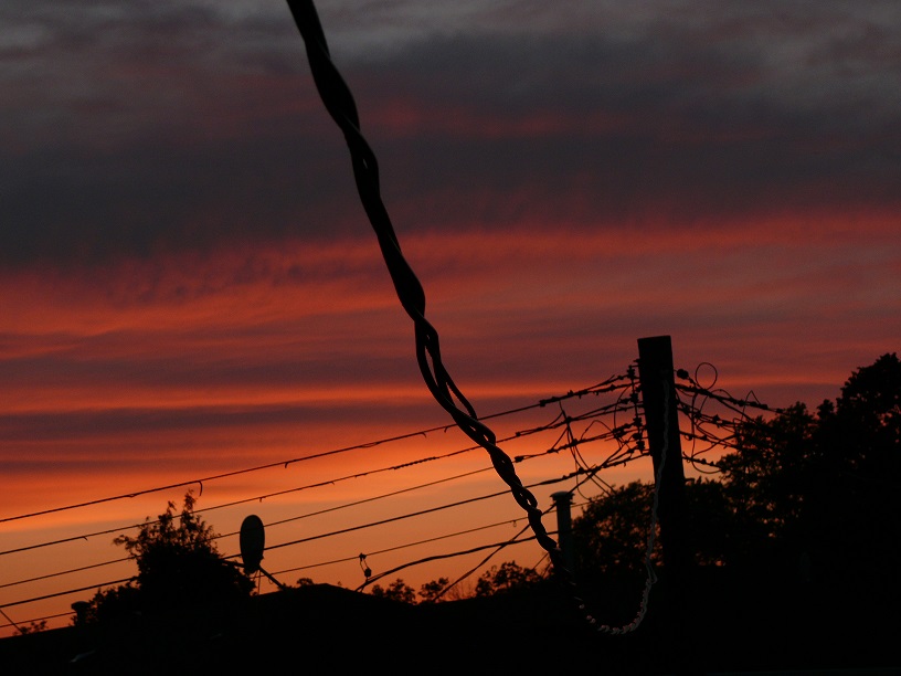 L1560731.JPG