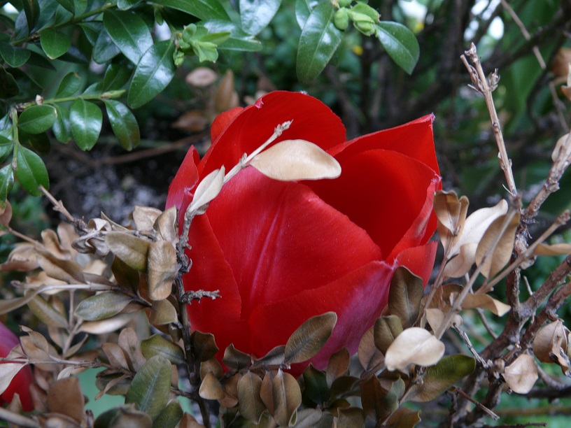 L1500713.JPG