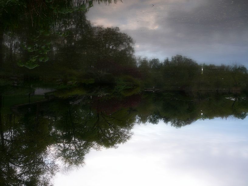 L1560489.JPG