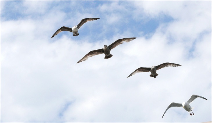 l1510099_conew2.jpg