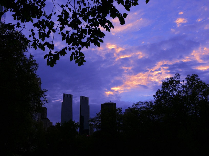 L1560459.JPG