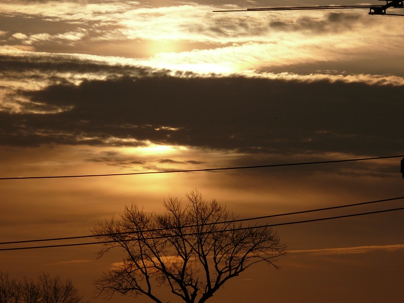 L1450312.JPG