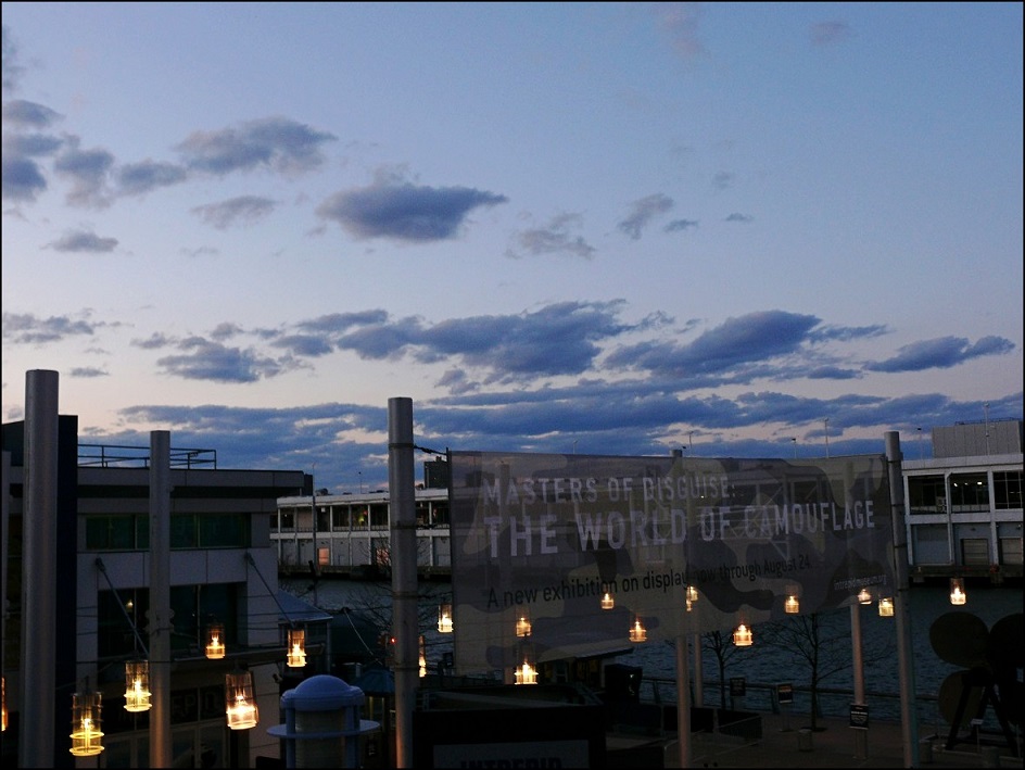 l1330838_conew1.jpg