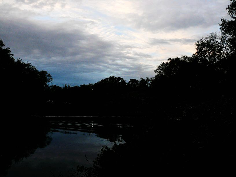 L1560483.JPG