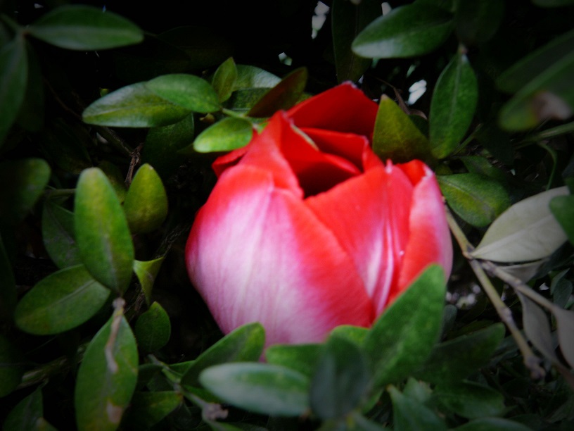 L1500692.JPG