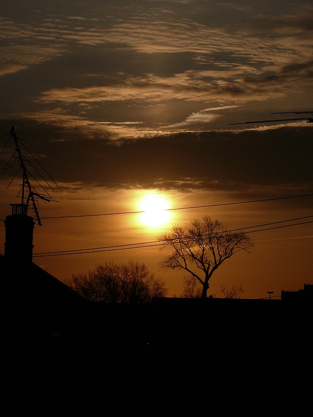 L1450234.JPG