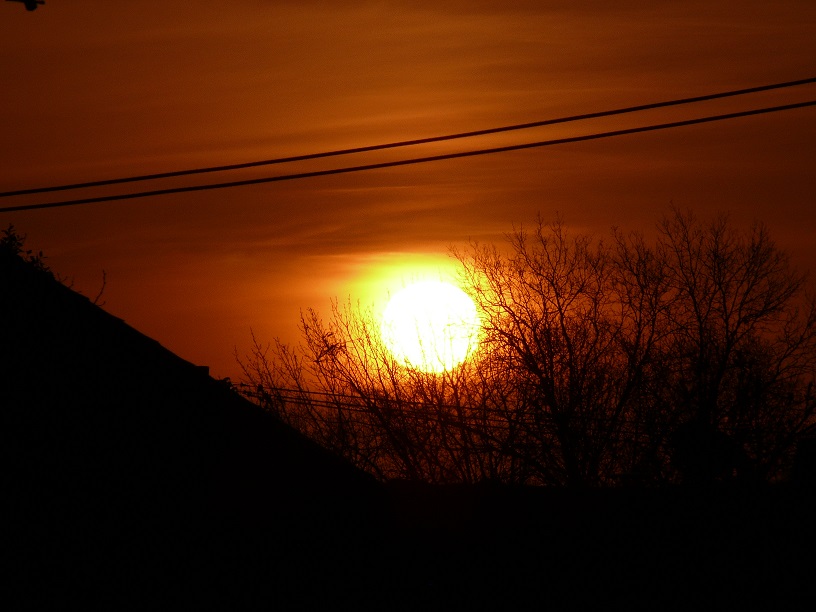 L1450165.JPG