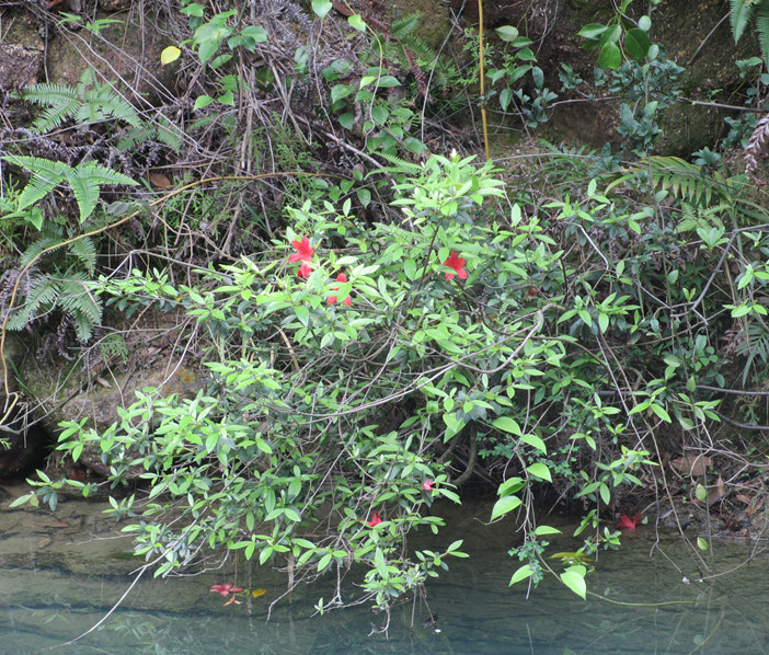IMG_0750_.jpg