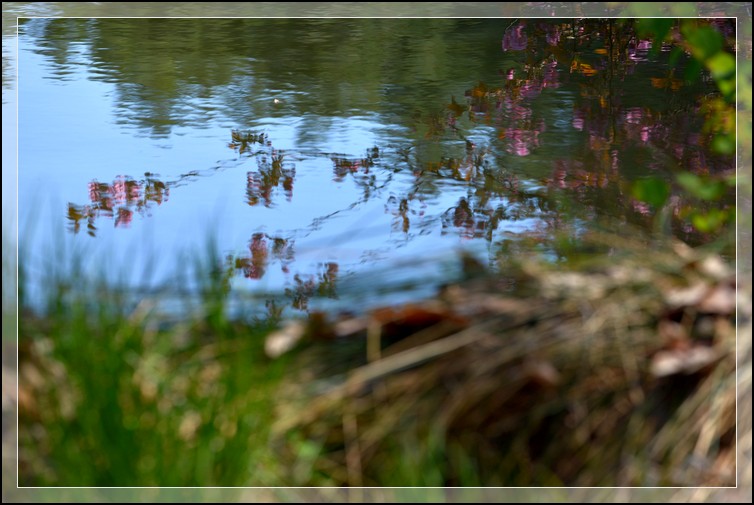 DSC_2808.jpg