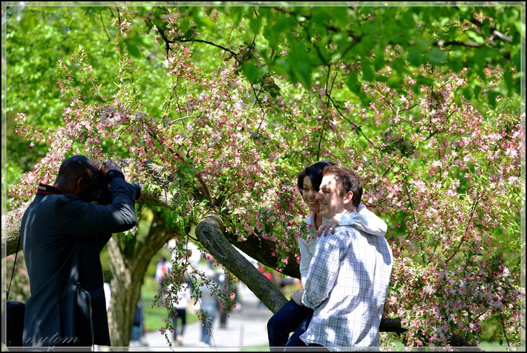 DSC_2839a.jpg