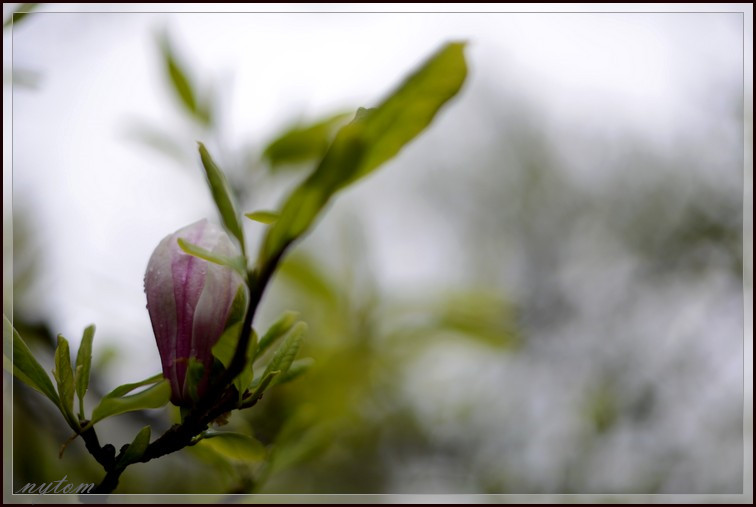 DSC_3897a.jpg
