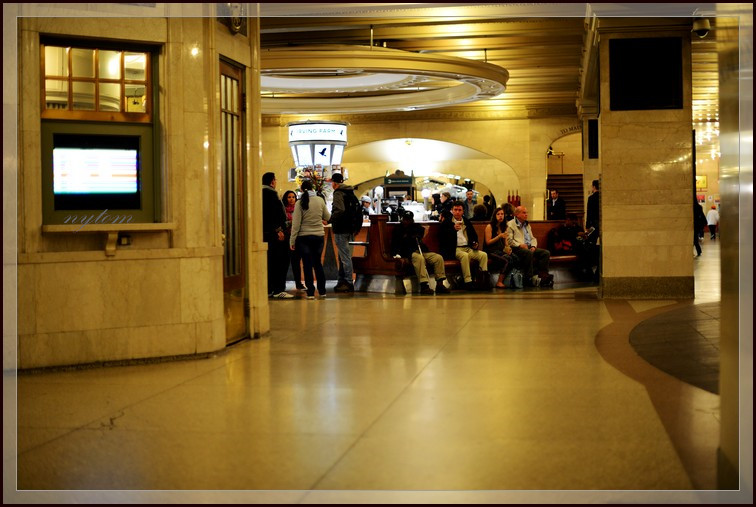 DSC_3785a.jpg