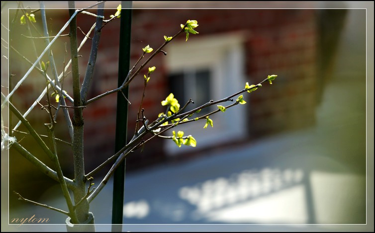 DSC_2674a.jpg