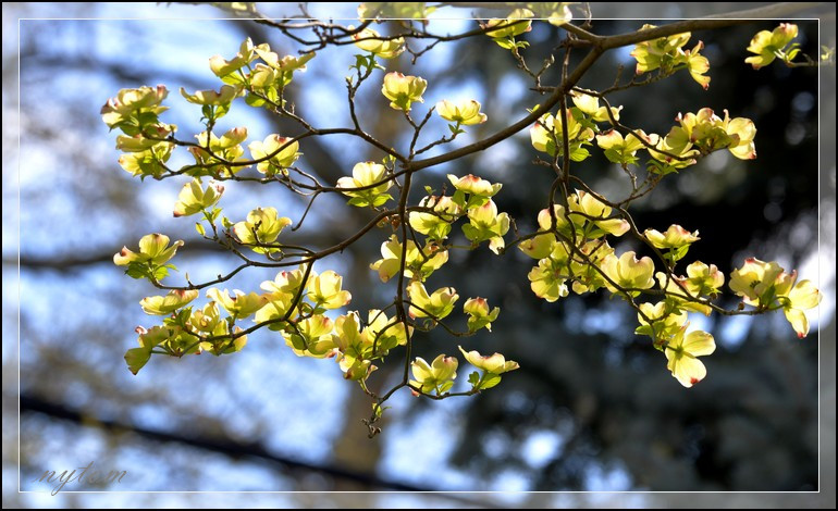 DSC_2679a.jpg