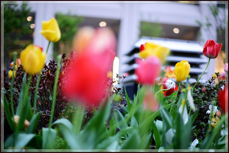 DSC_3843a.jpg