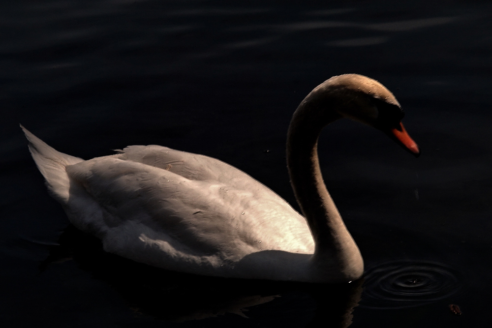 P4192575e3re.jpg