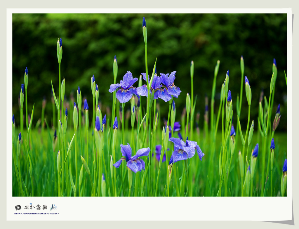 ���컨�Ὺ (15).jpg