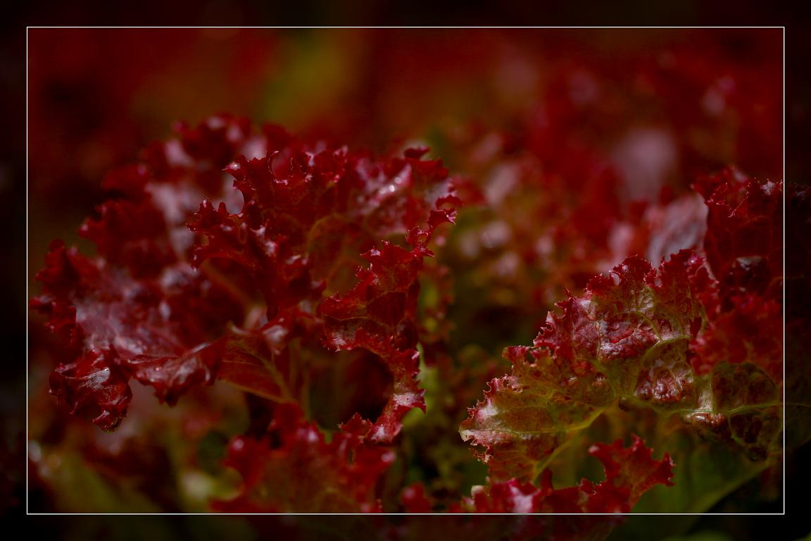 �}�u -05-23-2014--�~�s 071-1.jpg