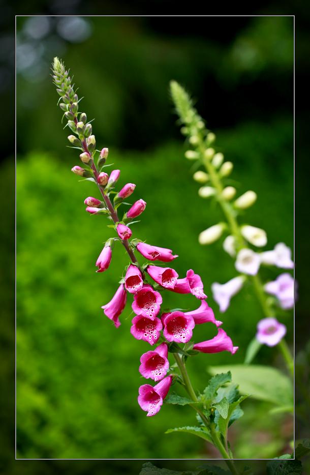 �}�u -031.-101.jpg