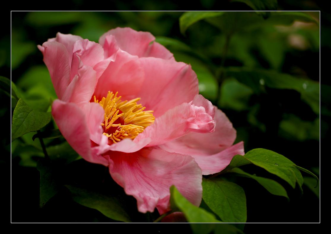 �}�u -135-010.jpg