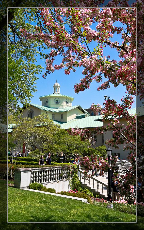 �}�u -05-03-2014--�~�s 276-1.jpg