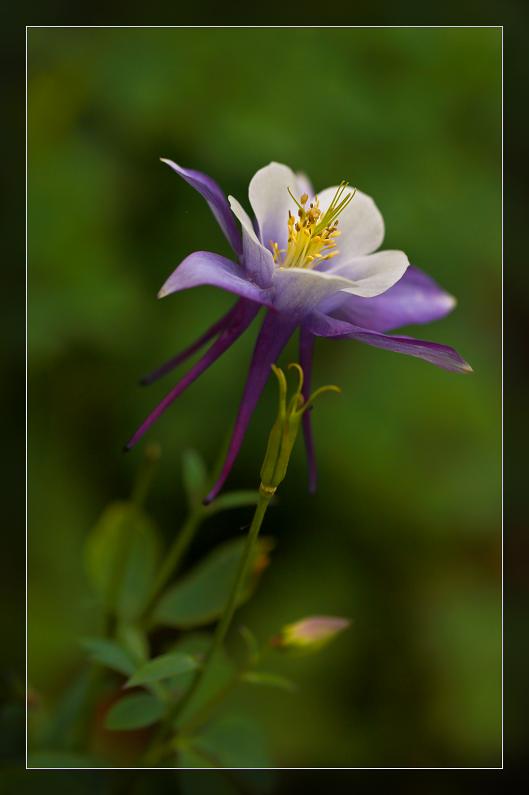 �}�u -05-23-2014--�~�s 062-1.jpg