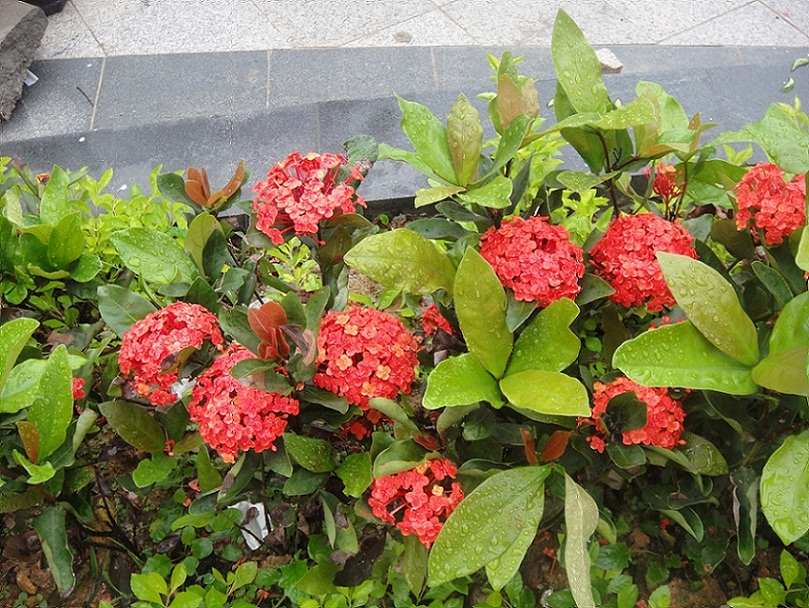 DSC00642.JPG