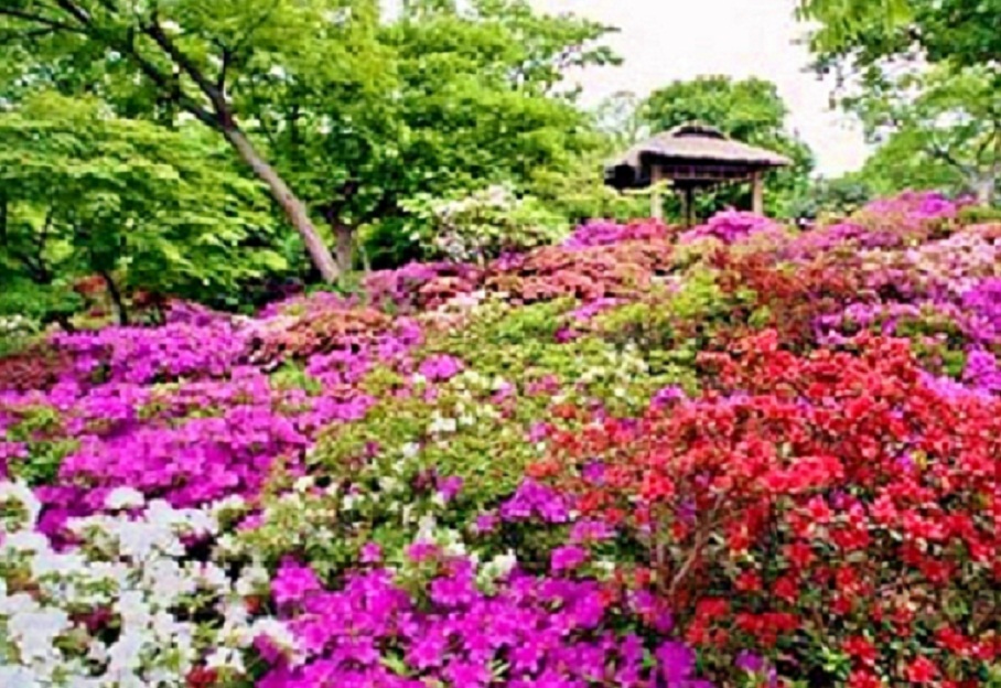20140429_1424053.jpg