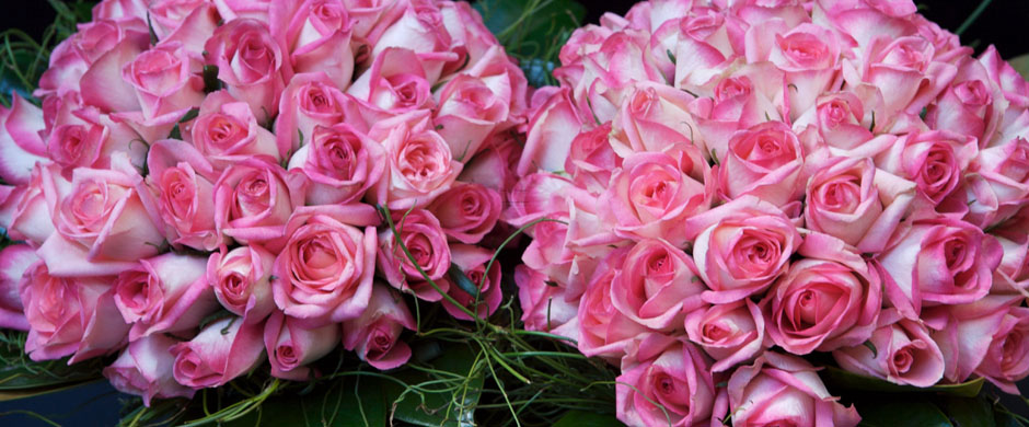 8 flower.jpg