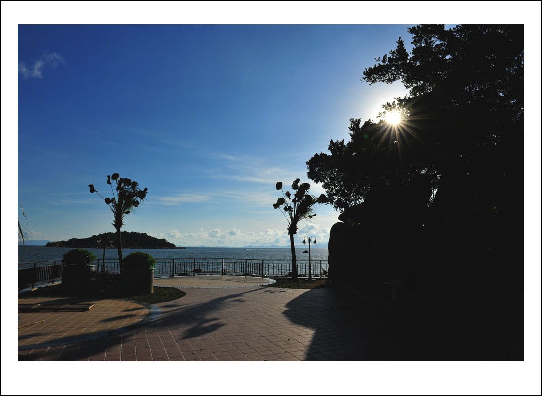 DSC_1641_conew1.jpg