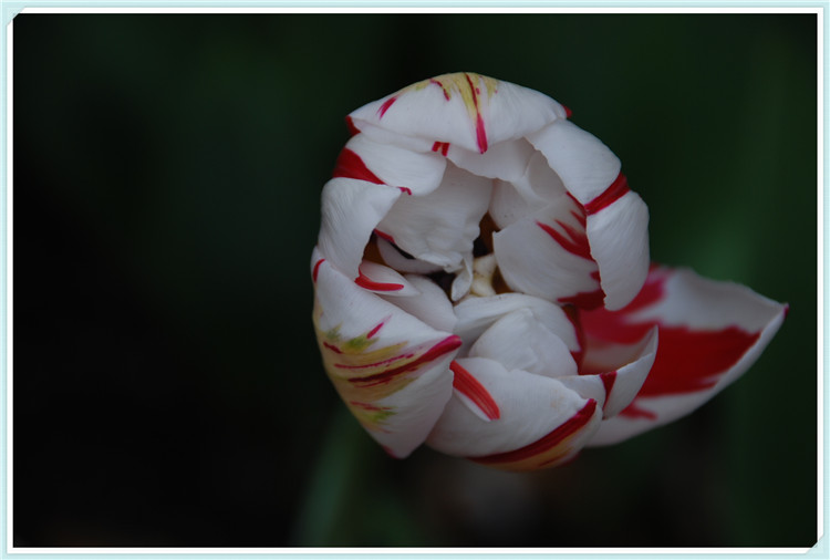 DSC_0481.jpg