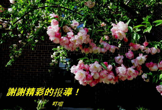 IMG_0001_7488.jpg