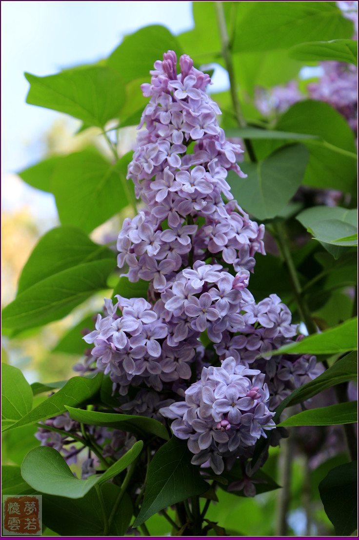 2014056 010_.jpg