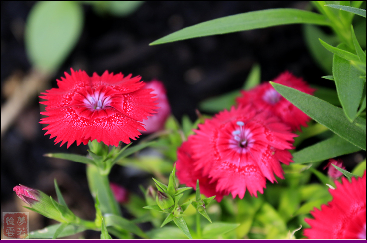 2014062 014_.jpg