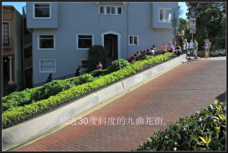 IMG_5246_1.jpg