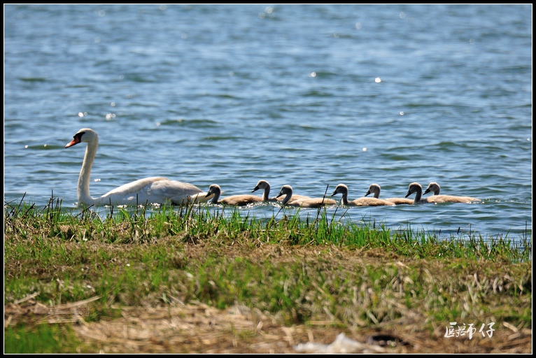DSC_1785.jpg