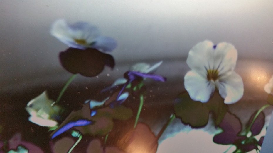 20140605_163622.jpg