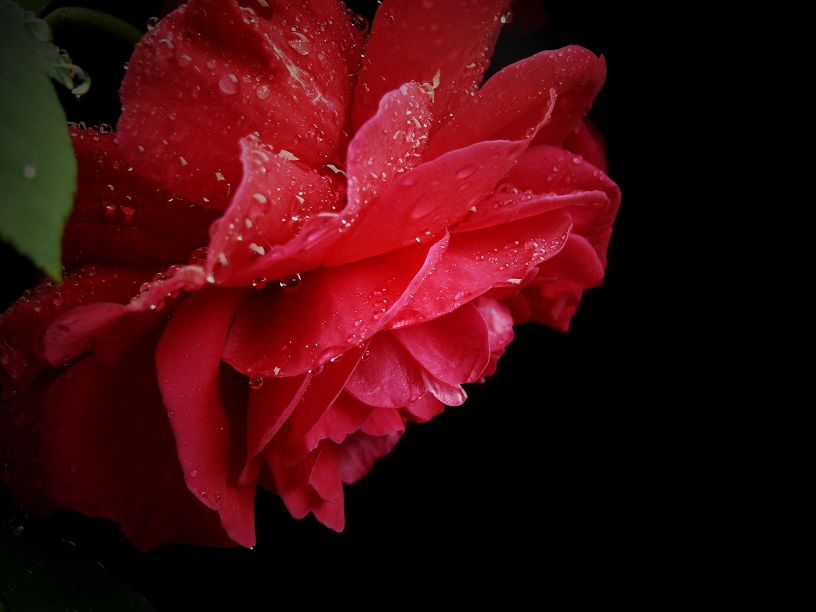 L1590568.JPG