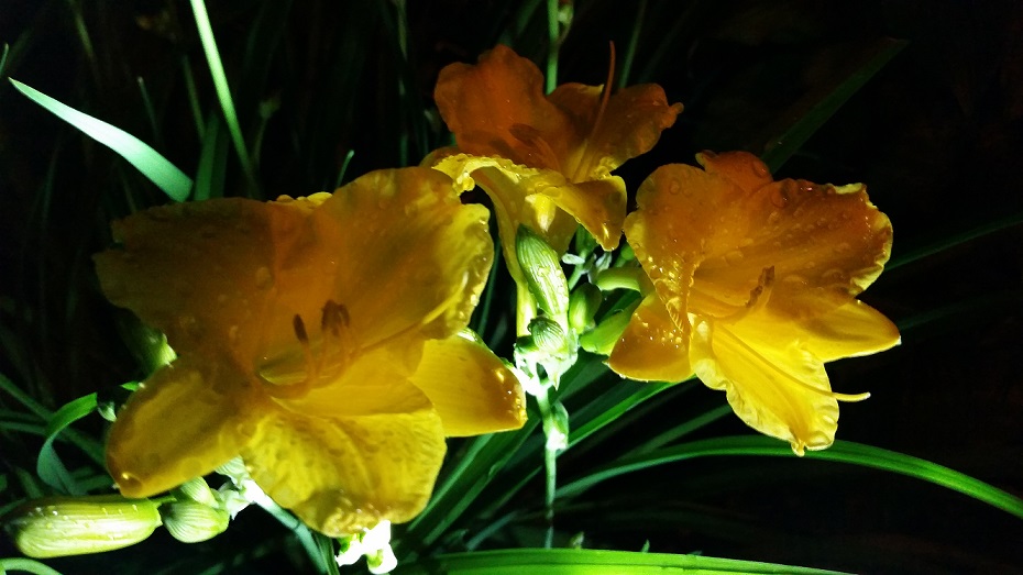 20140605_220006.jpg