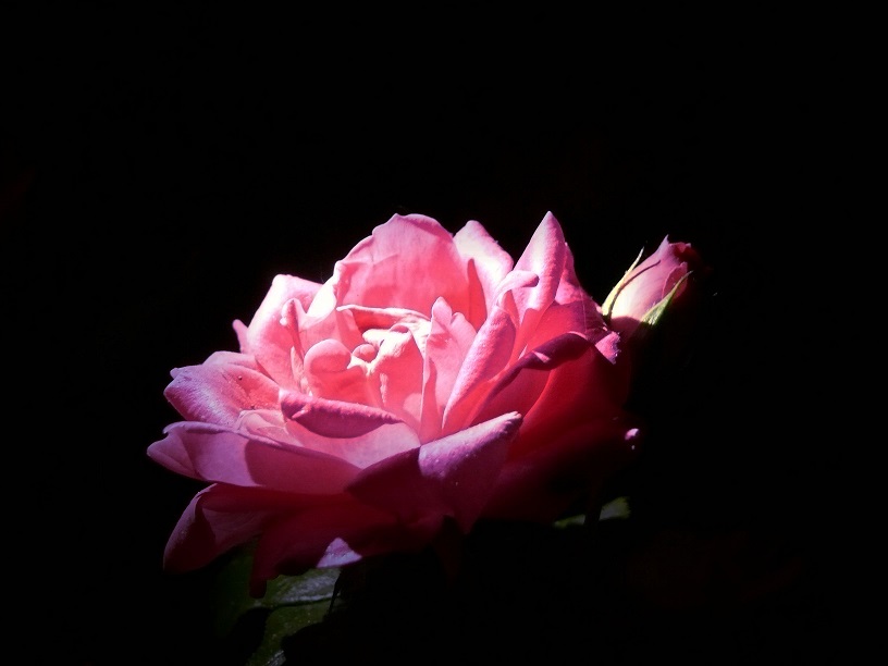 L1590449.JPG