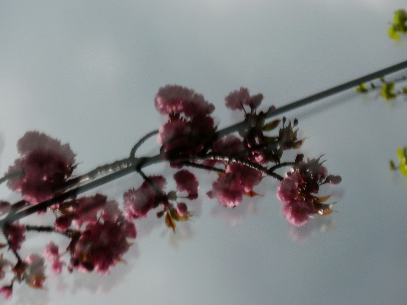 L1500500.JPG