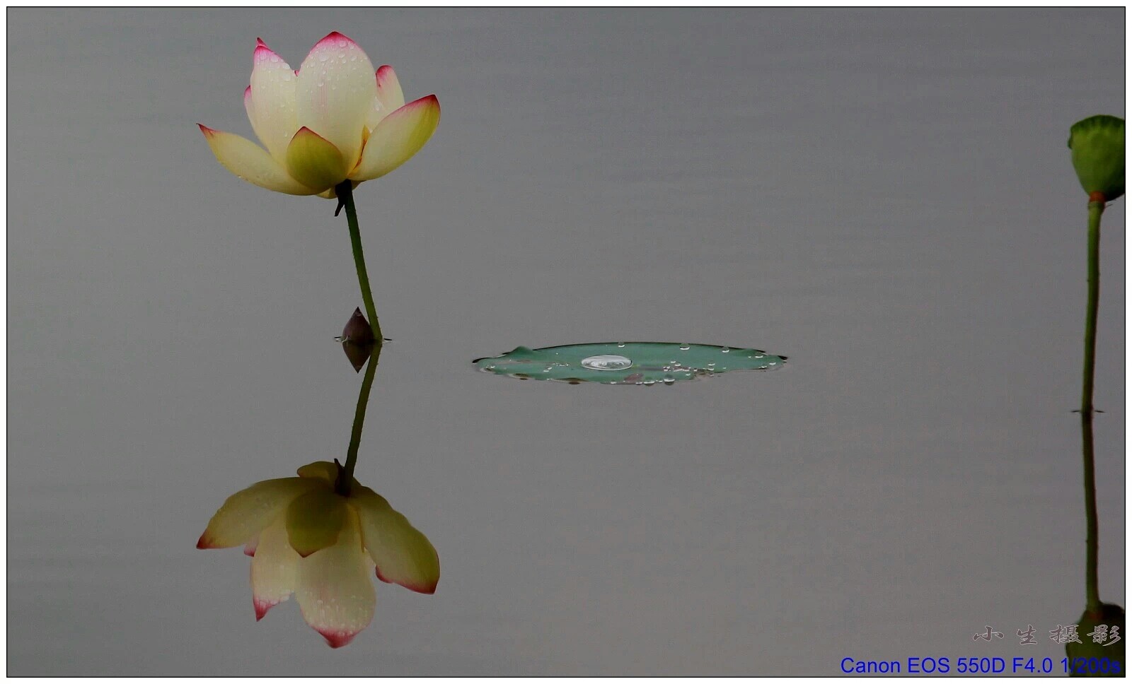 QQͼƬ20140630203956.jpg